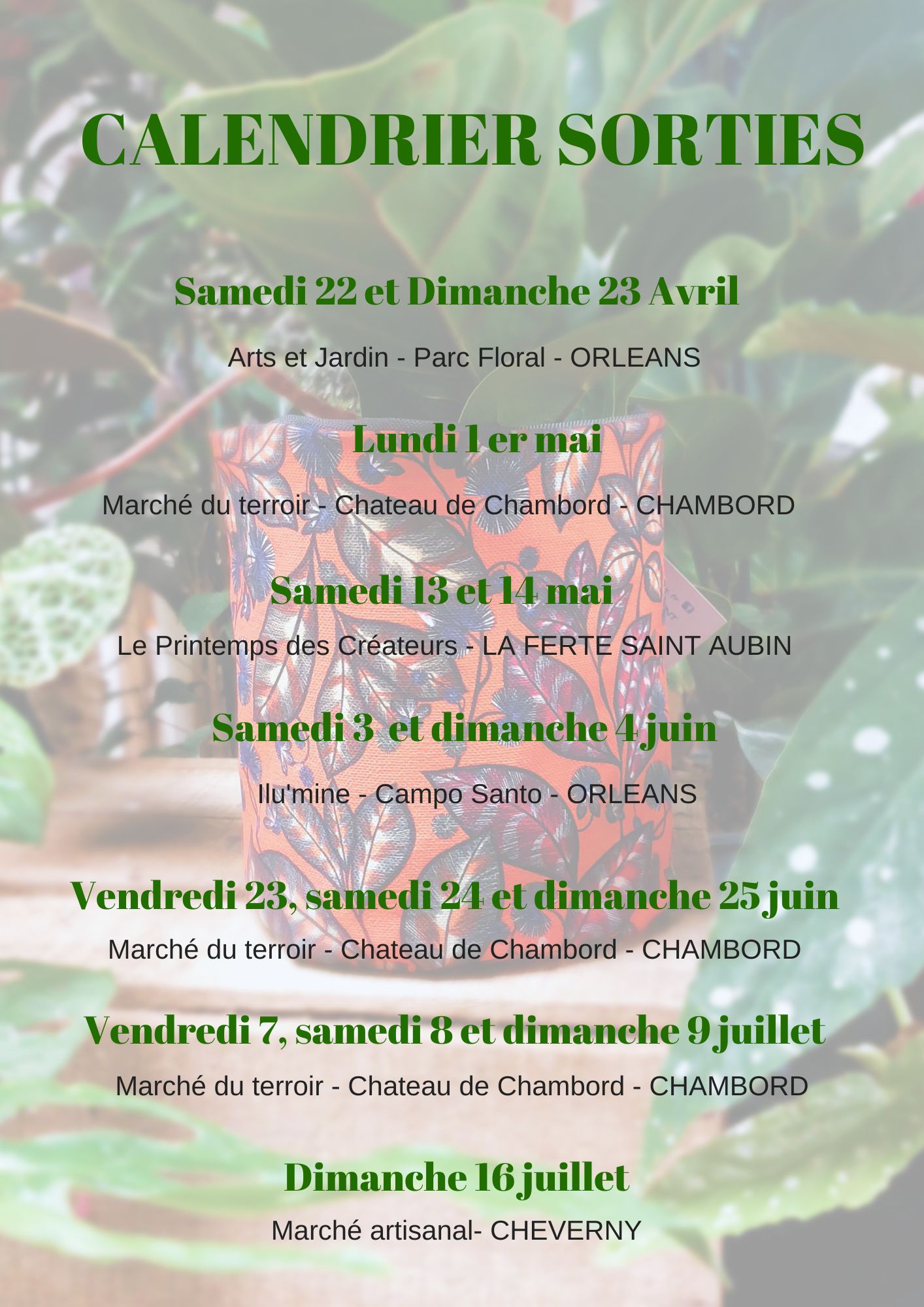 PLANNING DE MES SORTIES